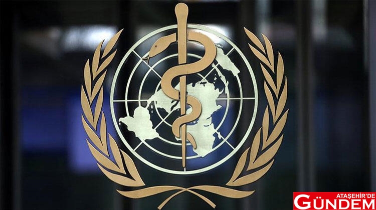 KORONAVİRÜS İLACINA DSÖ'NDEN AÇIKLAMA GELDİ DSÖ KORONAVİRÜS